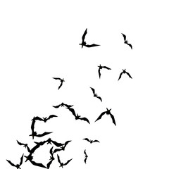 Halloween background with black bats on white. Halloween party card background template. black flying bats.