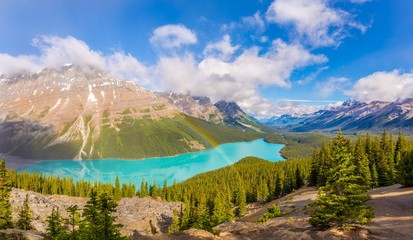 View at the Peyto lake from Bow Summit in Banff National Park - Canadian Rocky Mountains
