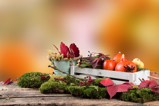 Colored leaves and pumpkin on wooden table. Autumn concept. Mix flowers on board with free space for text