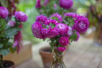 autumn bouquet with asters