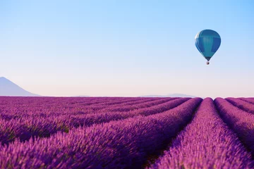 Foto op geborsteld aluminium Platteland Lavendelveld en heteluchtballon