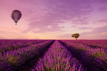 Crédence de cuisine en verre imprimé Campagne Lignes de lavande avec arbre solitaire et montgolfière au coucher du soleil paysage emblématique des champs de Provence