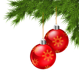 Christmas fir tree branches with red balls.