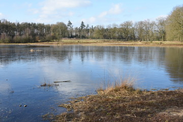 strak ijs op een vennetje in de winter in de Kruisbergse bossen