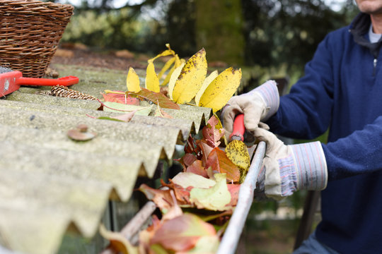 Leaves In Eaves. Cleaning Gutter Blocked With Autumn Leaves.