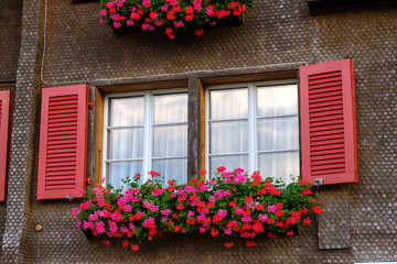 Typical Switzerland wooden house windows decorated by flower