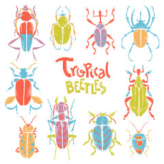 Vector doodle collection of big decorative tropic bugs. Bright b