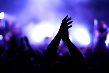 the guys put their hands up and enjoy the music. crowd at concert - summer music festival.