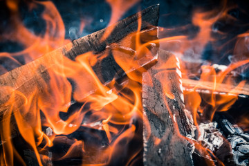 Burning and smoking wood logs