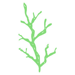 flat color illustration of a cartoon seaweed