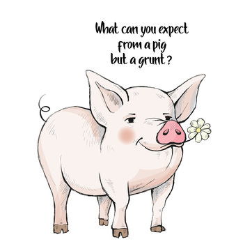 Proverbs And Sayings. What Can You Expect From A Pig But A Grunt A Pig Standing On A Green Grass. Cute Funny Animal Eating Chamomile Flower. Hand-drawn. Cartoon. Watercolor Style