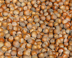 Россыпь лесных орехов / Фундук