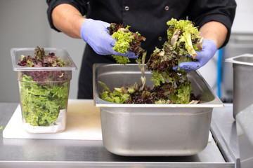 Kitchen in a restaurant
