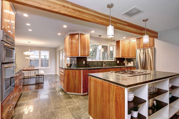 Luxurious kitchen room with wooden cabinets.