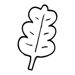 line drawing cartoon oak leaf