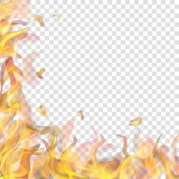 Translucent fire flame on left and below on transparent background. For used on light backgrounds. Transparency only in vector format