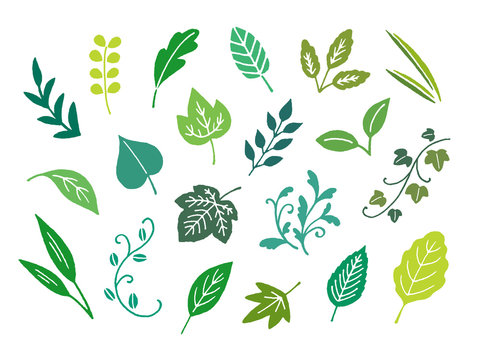 22 847 655 件の最適な 葉 画像 ストック写真 ベクター Adobe Stock