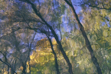 Autumn had been reflected in the water of river. Defocused image of nature