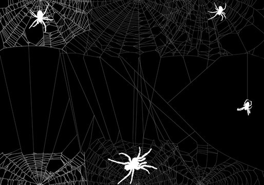 four white spiders in different web illustration