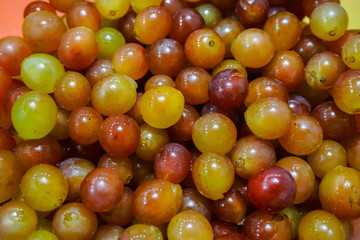 Fresh and juicy grapes