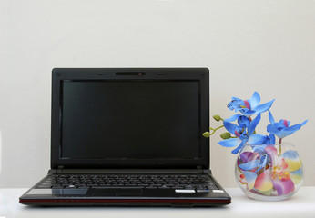 Workplace: a small black laptop and flowers on a light background