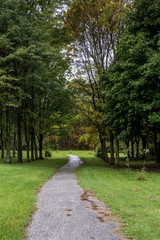 Walking Path