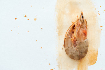 top view of single uncooked shrimp on white surface with watercolor strokes