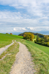 Fototapeta na wymiar Wanderweg entlang eines Feldes im Herbst