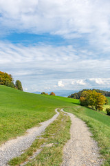 Wanderweg entlang eines Feldes im Herbst