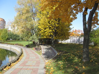 Naklejka premium autumn in the park