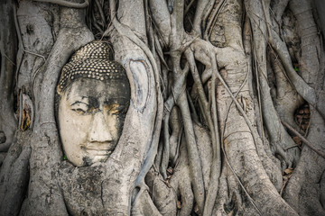 Thailand Buddha head emerged from the old trees roots at Wat Mahathat, Ayutthaya