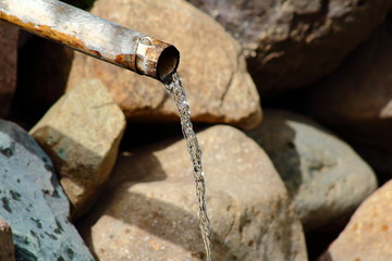 Water from the bamboo