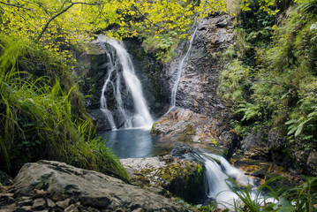 waterfall in forest