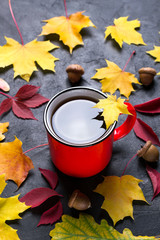 Autumn colorful  leafs and red cup of tea on    dark concrete background