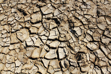 dry cracked earth