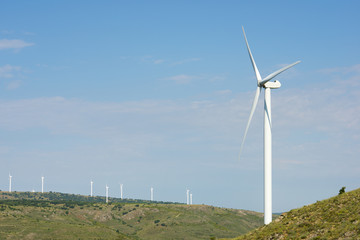 Fototapeta premium Wind energy concept