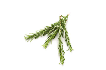 Fototapeta premium A branch of rosemary isolated on white background