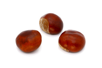 ripe chestnut close up, isolated