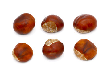 ripe chestnut close up, isolated