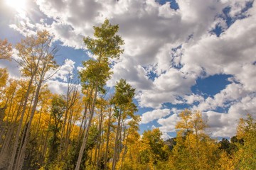Fototapeta na wymiar A sunny day in Colorado in Autumn