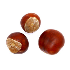 ripe chestnut close up, isolated