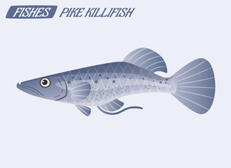 Fish character. Cartoon vector illustration