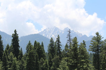 Sunsets, Mountains, Flowers, Rains, Greenery, Nature