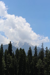 Sunsets, Mountains, Flowers, Rains, Greenery, Nature