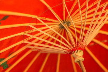 Japanese umbrella background