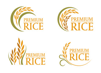 yellow and green paddy premium rice logo sign 4 style vector design
