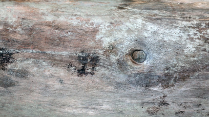 Wood