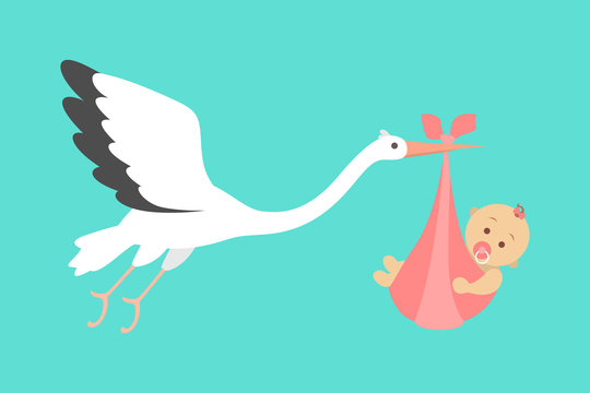 White stork flying with a newborn baby