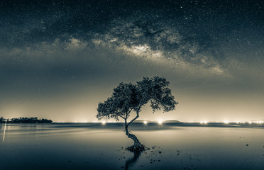 Black and white image of Night sky with stars and silhouette mangrove tree in sea. Long exposure...