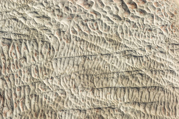 The surface of the limestone in the form of intricate patterns. The texture is made by flowing water for many years in Turkish Pamukalle. An interesting natural phenomenon.